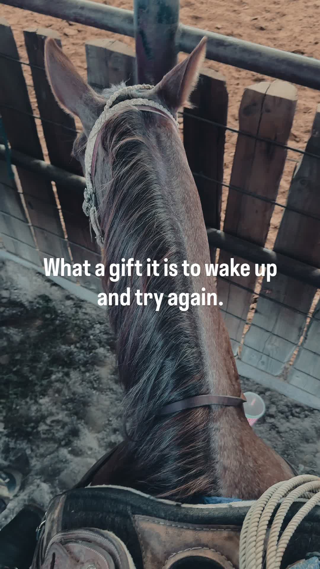@The Cow Dude