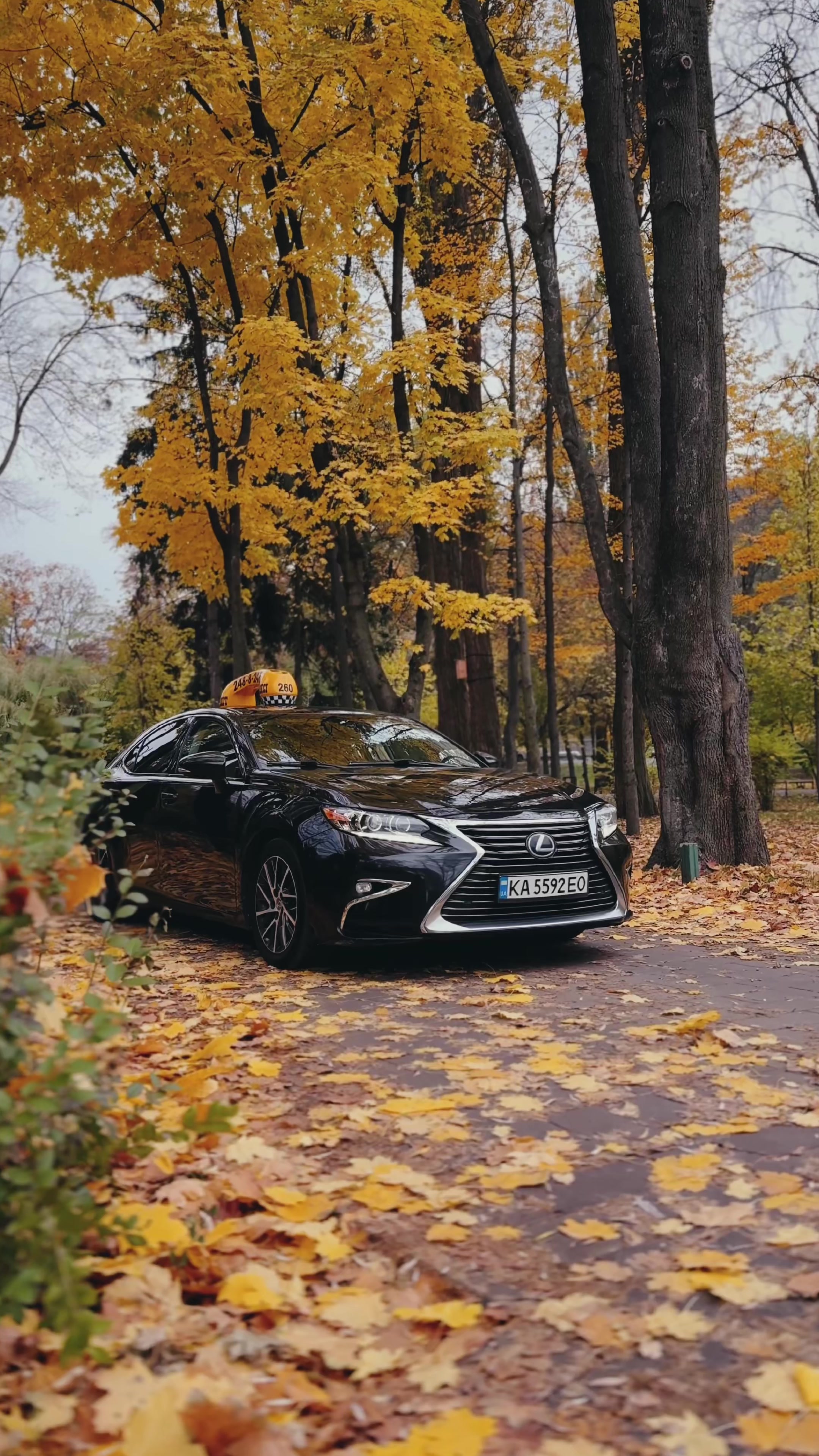 @Elit Taxi Kyiv