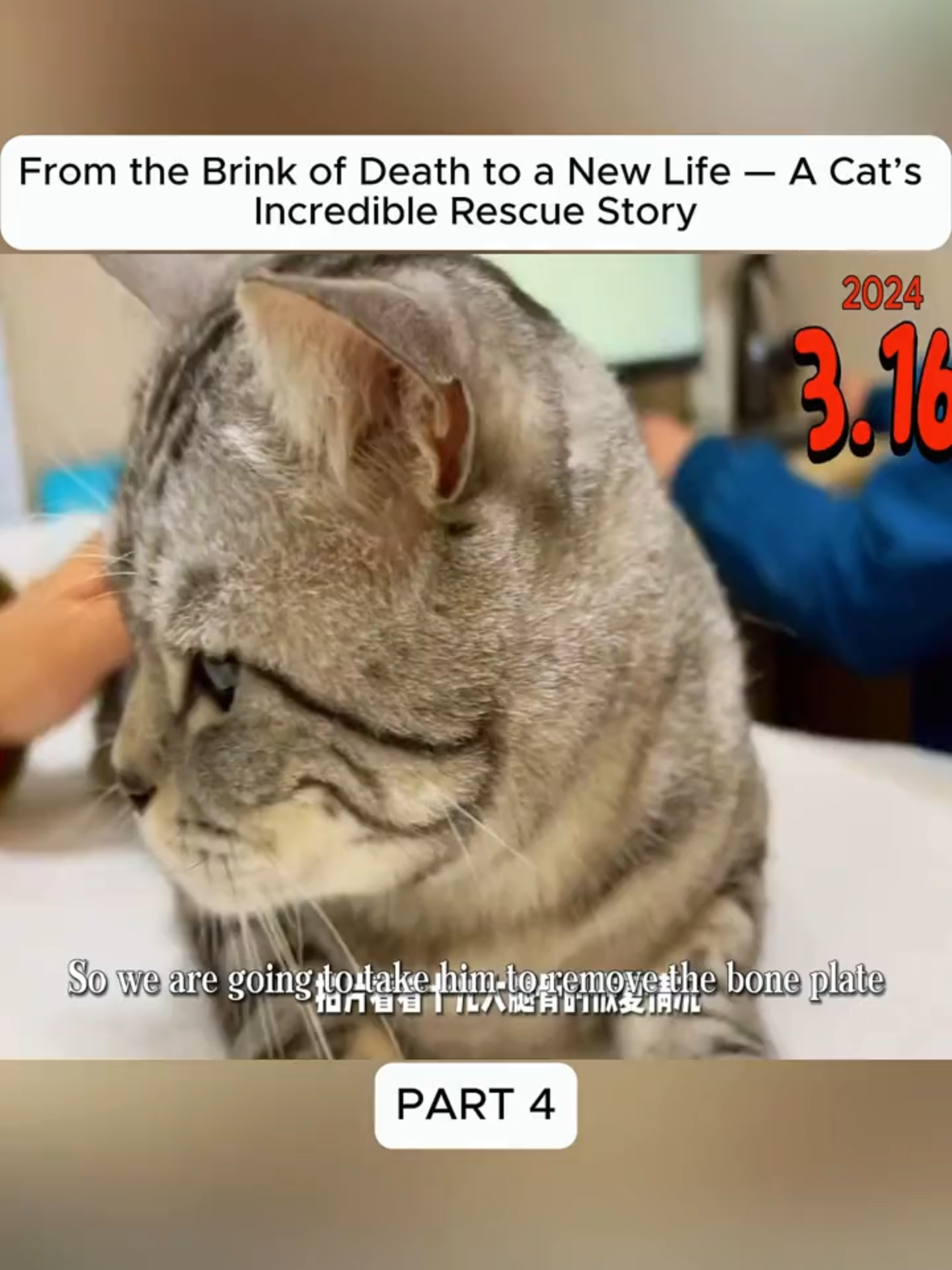 @Hope For Paws