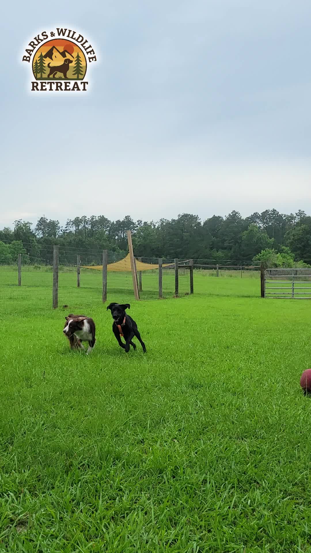 @Barks & Wildlife Longville LA