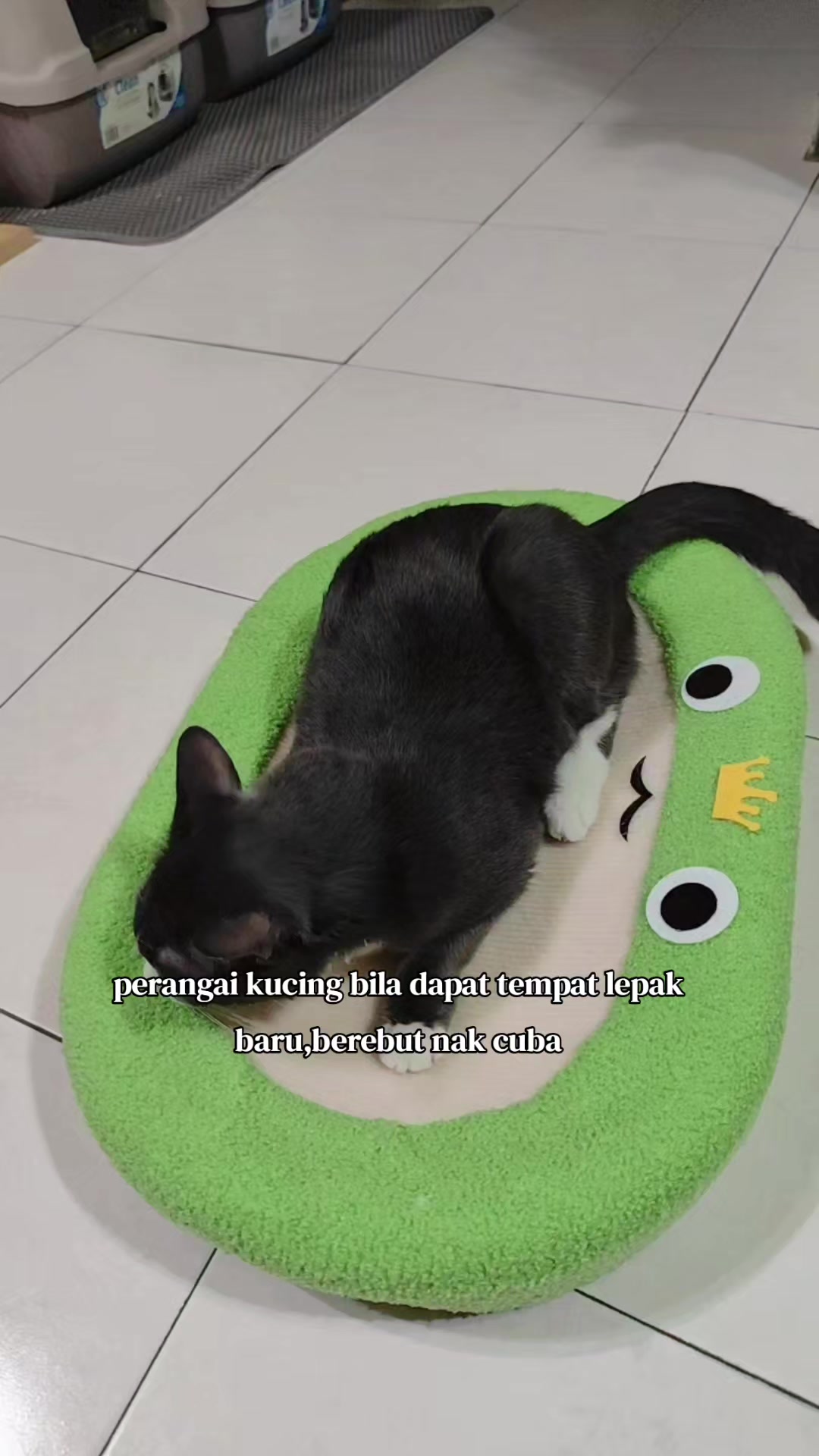 @Omma Kucing 🇲🇾🍉