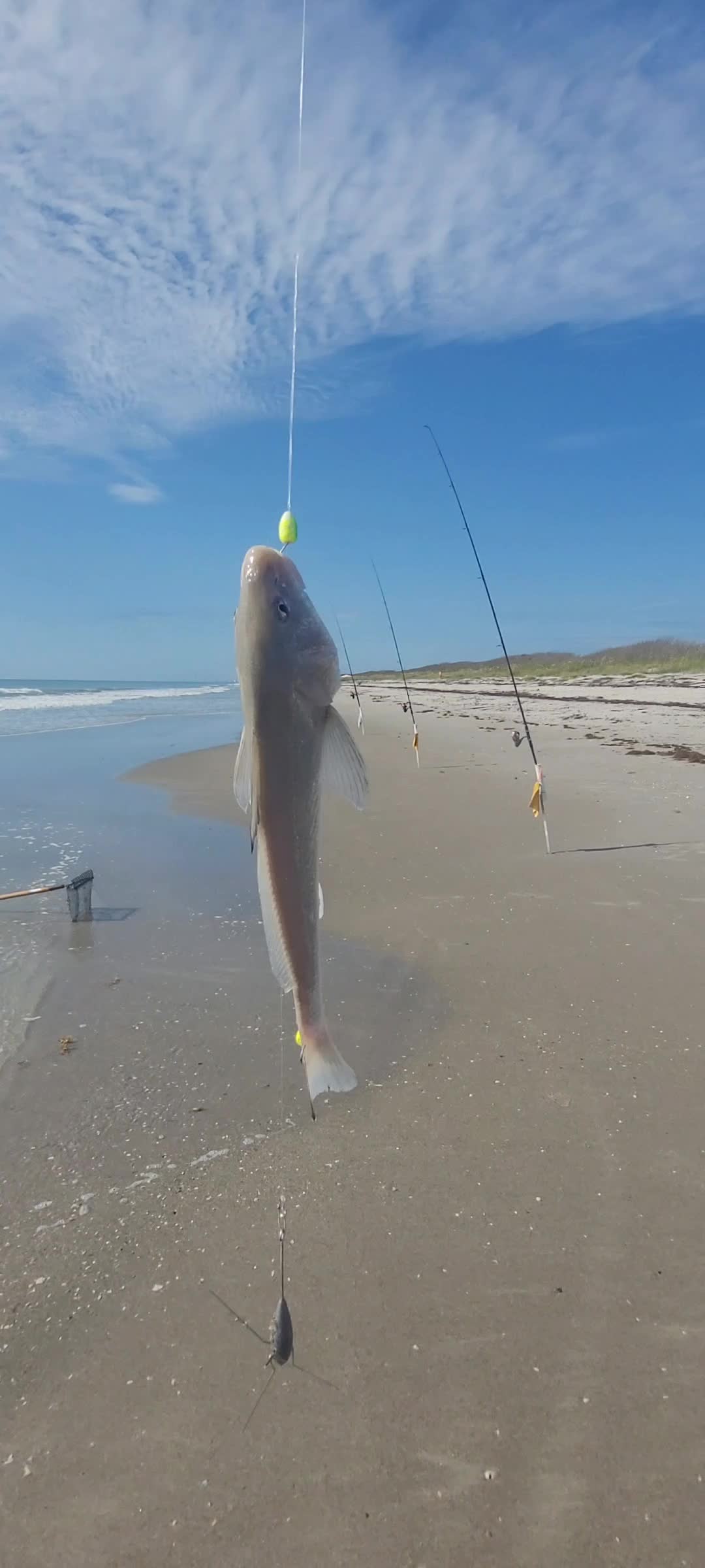 @Ghost of Space Coast Fishing