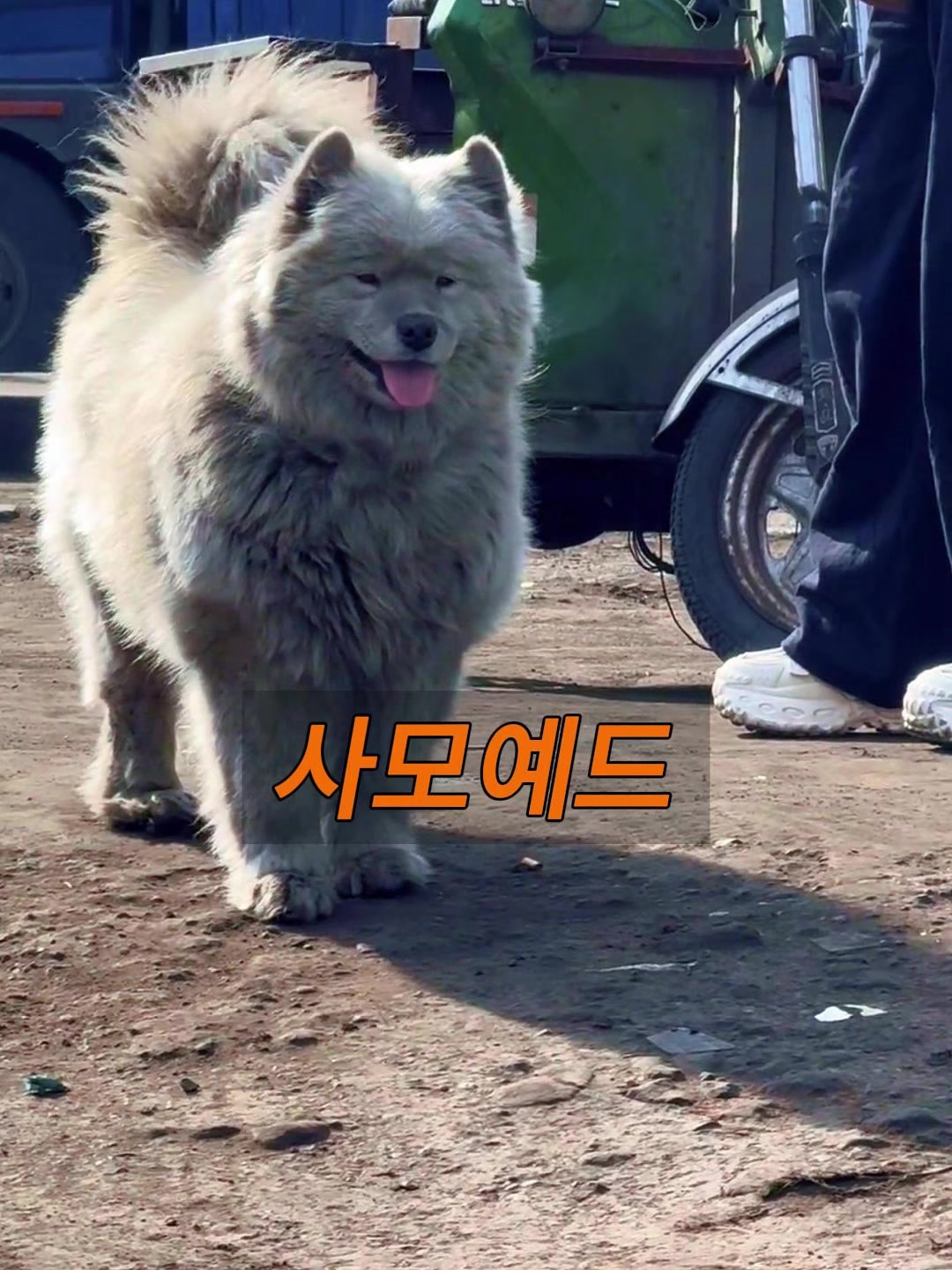 @삼촌Cut2025