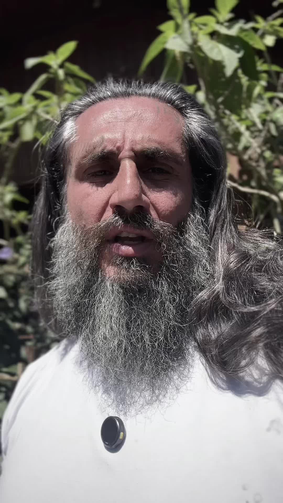 @O Professor Fernando