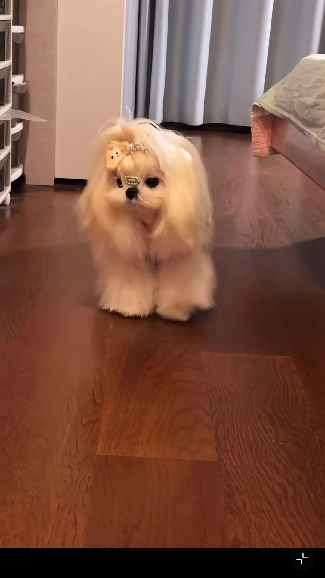 @My Daily Dose of Aww