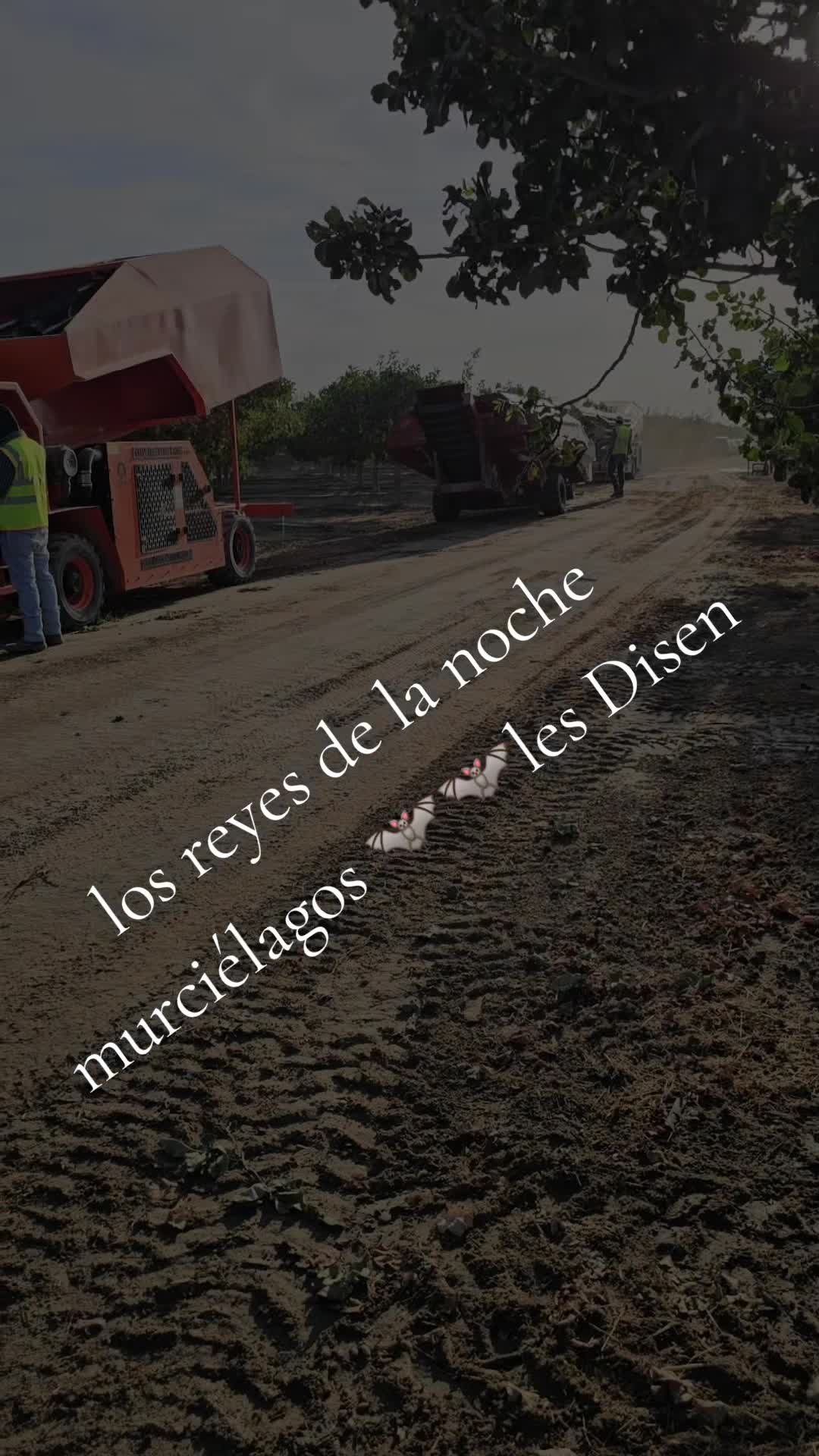 @fulgencio🤠