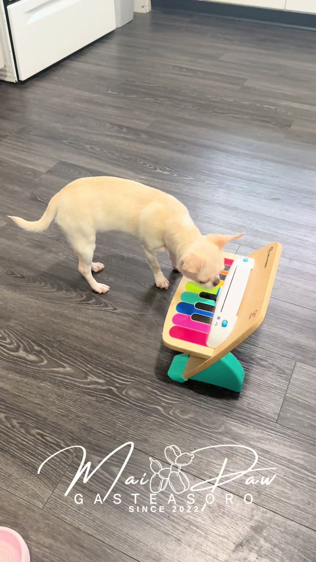 @MaiPaw