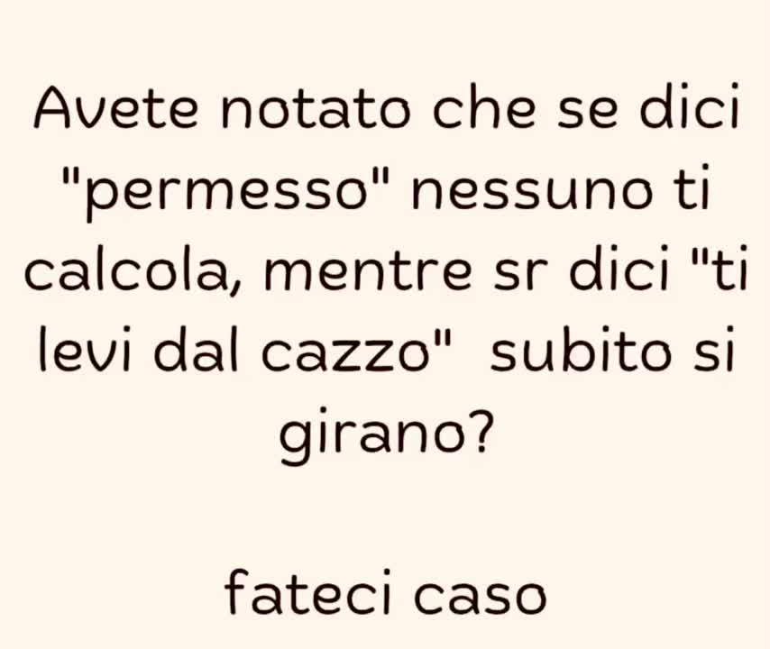 @brunopizzarelli2455