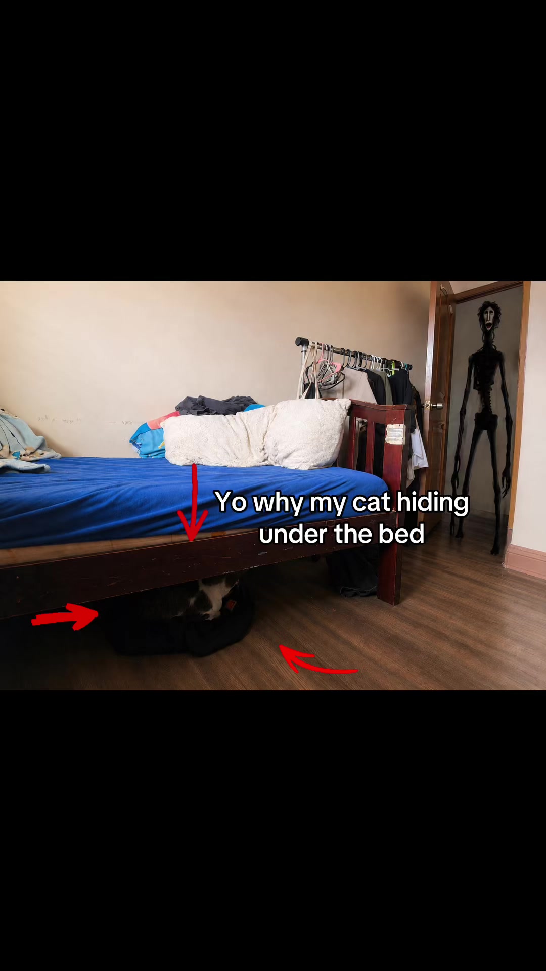 @Promonker