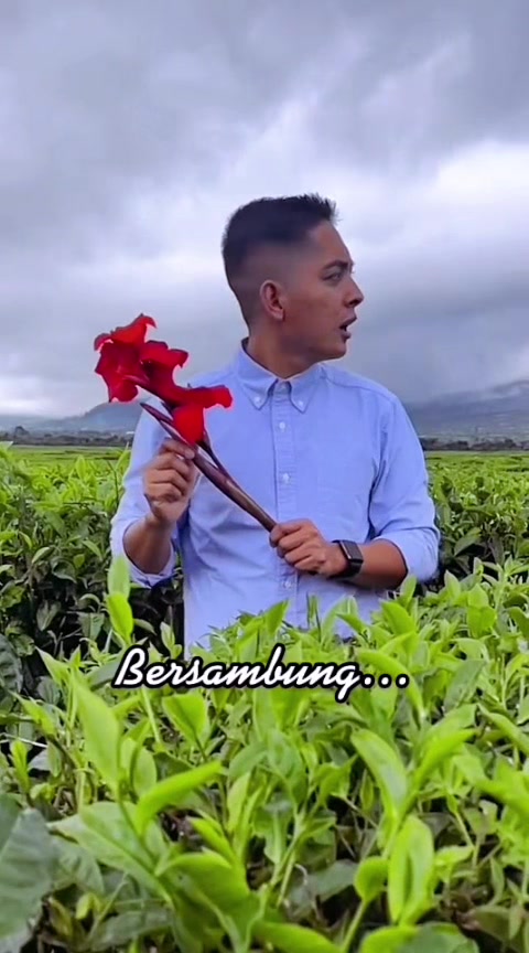 @Popo 🐍🐦🍄