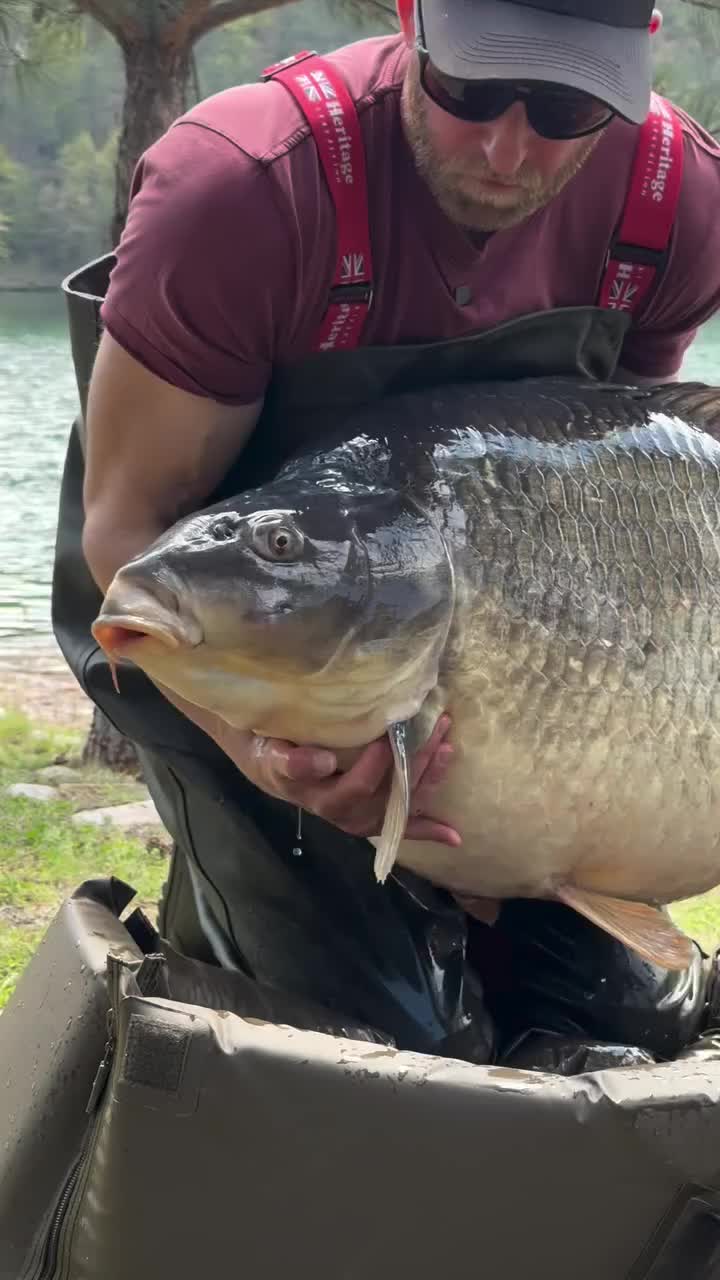 @carpworldonline