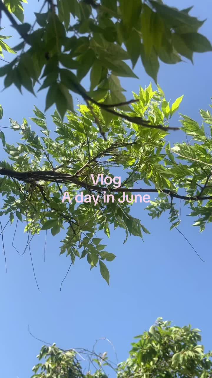 @vivi