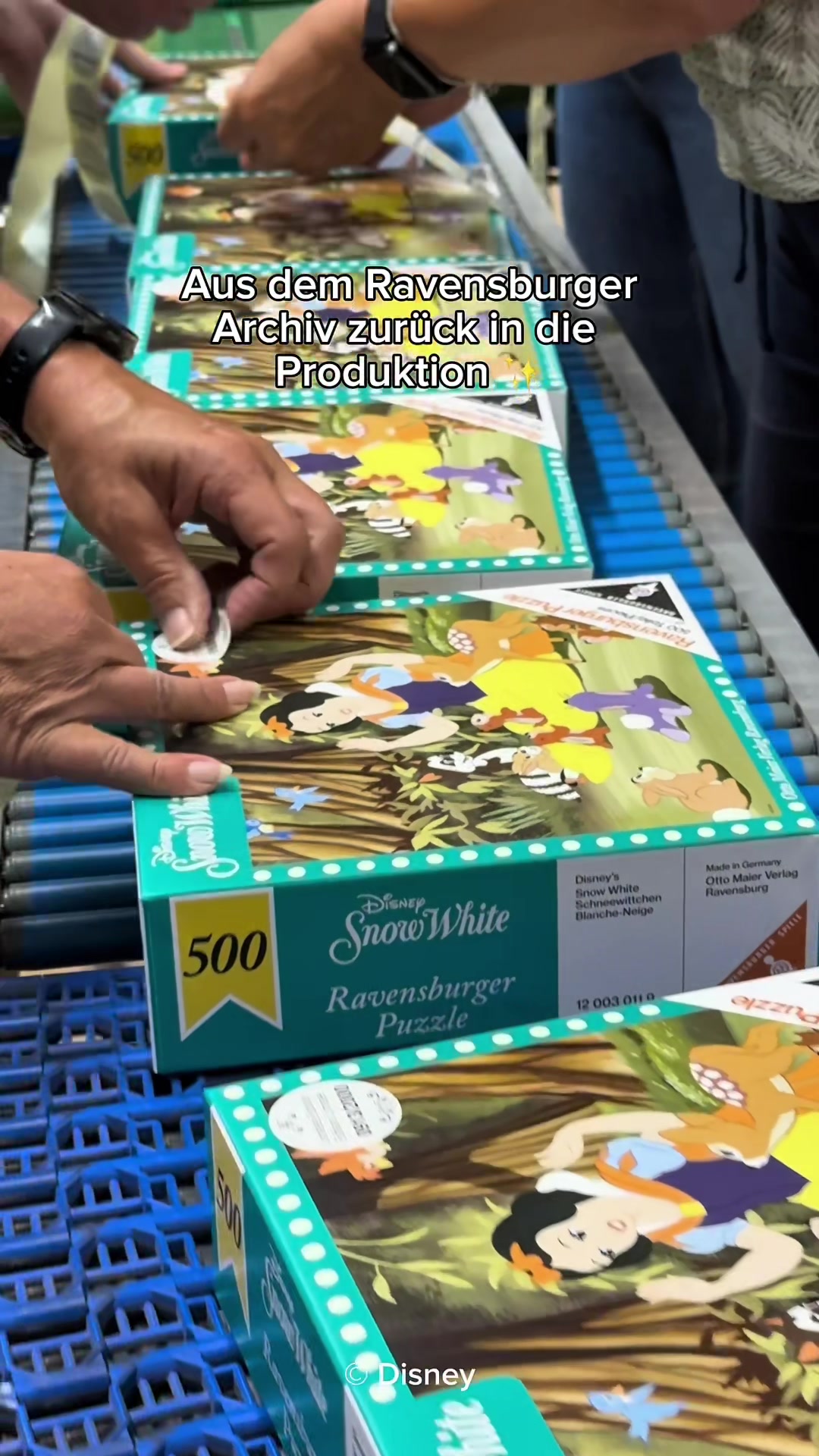 @ravensburgerde
