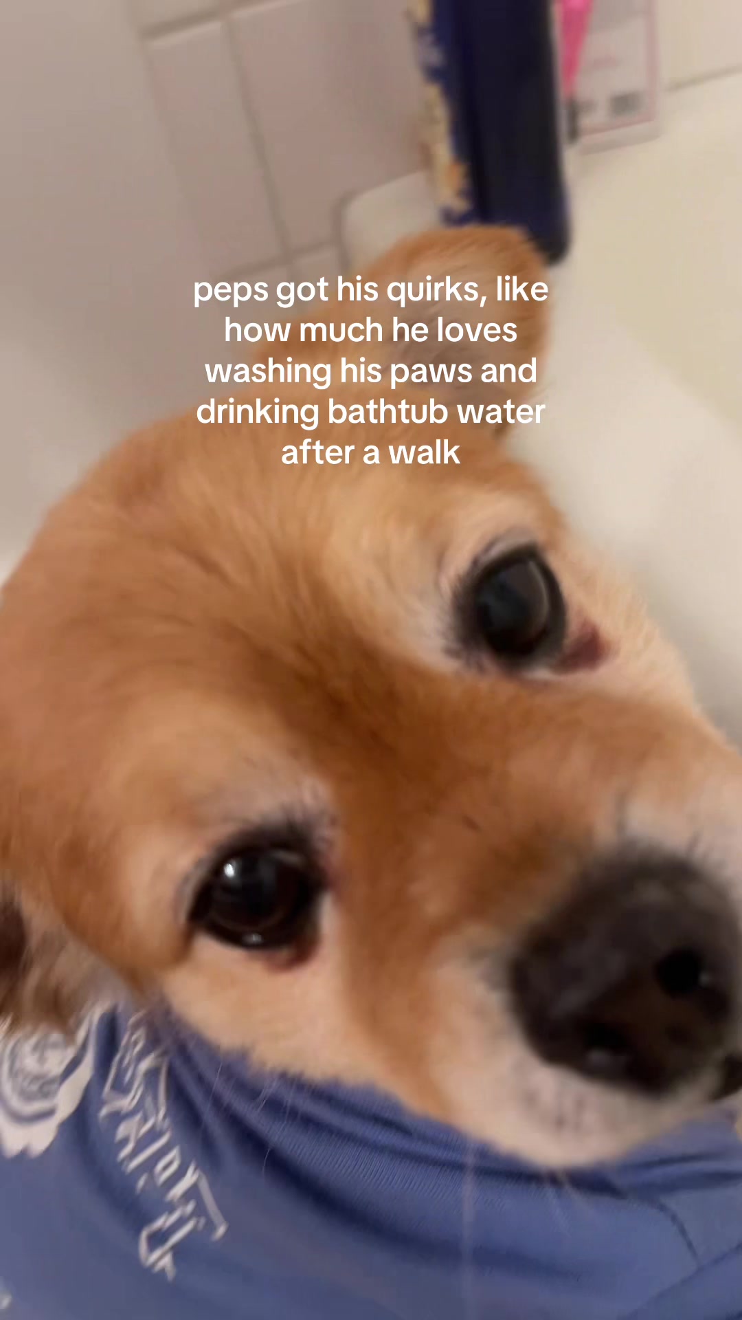 @kingpep