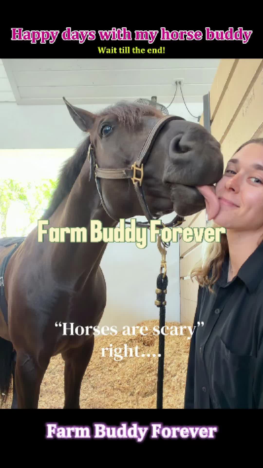 @Pet.humor5.USA