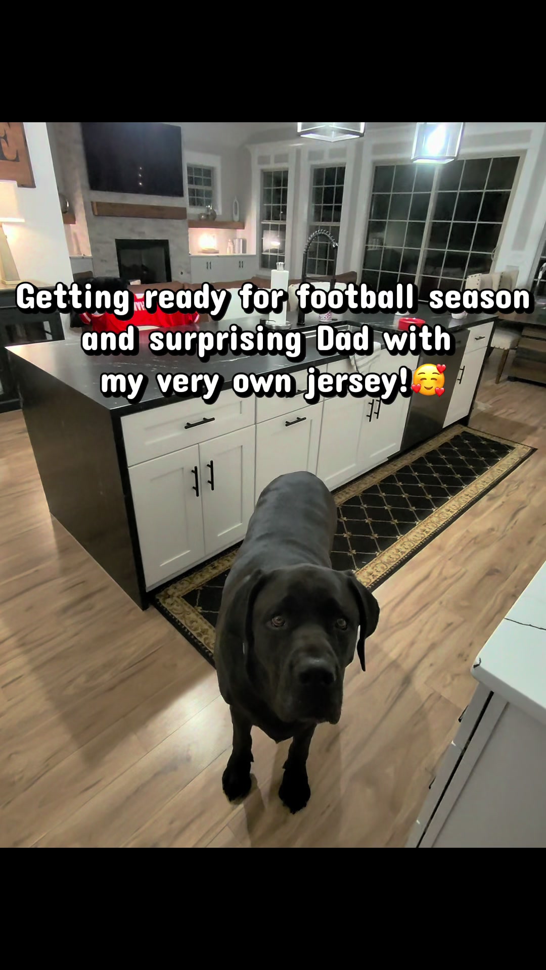 @HankTheTank