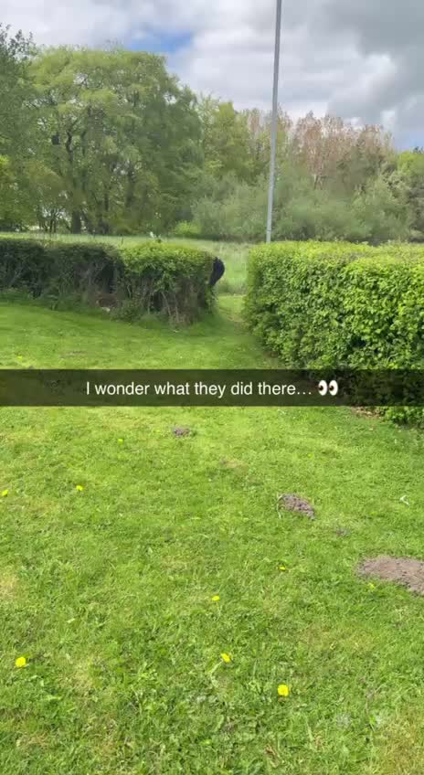 @bendudman