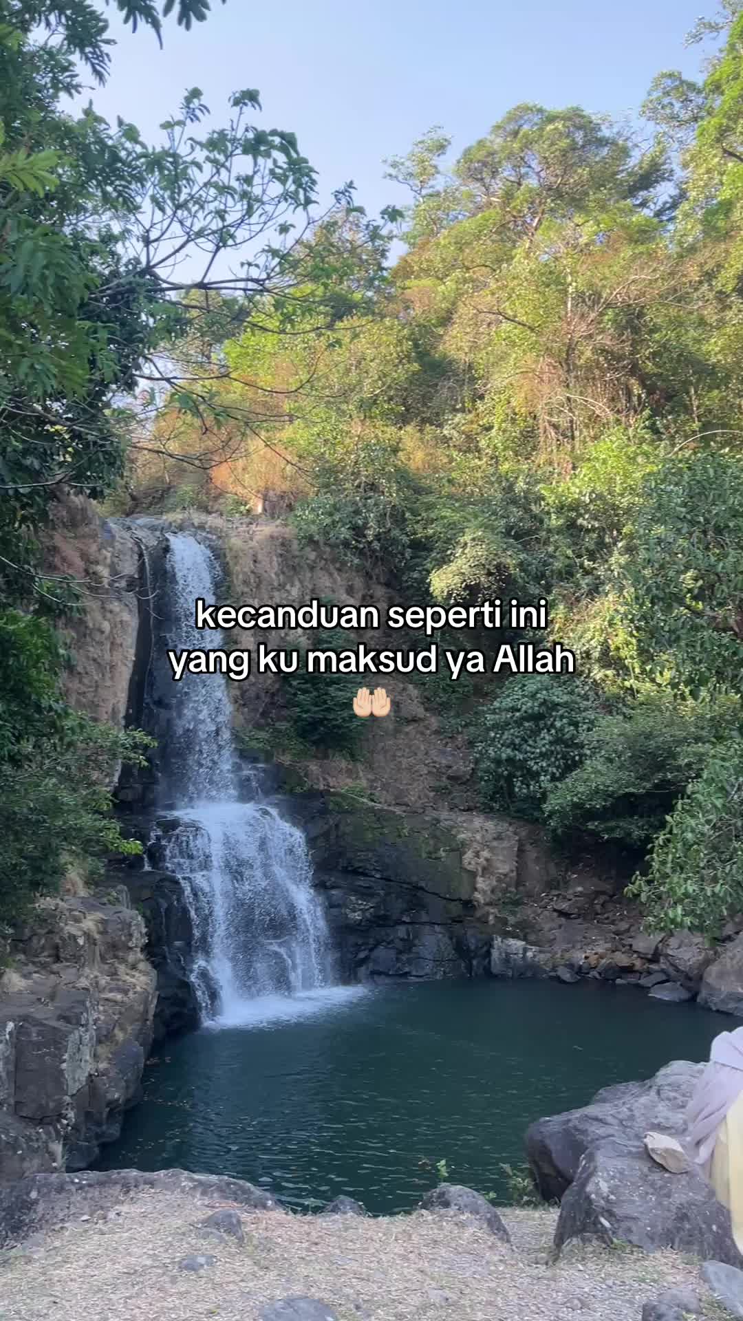 @nelala