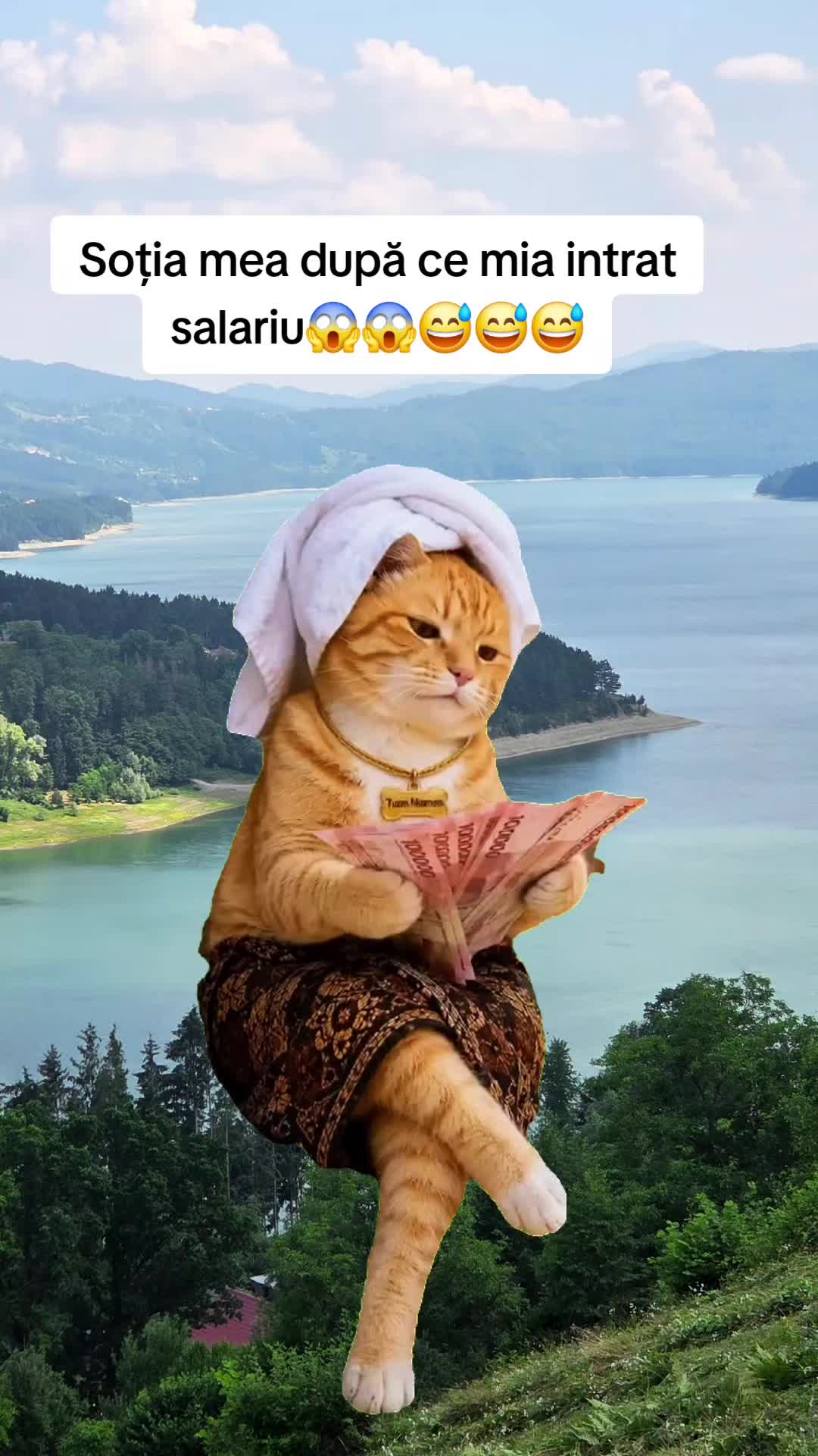 @Irimia Vasilică
