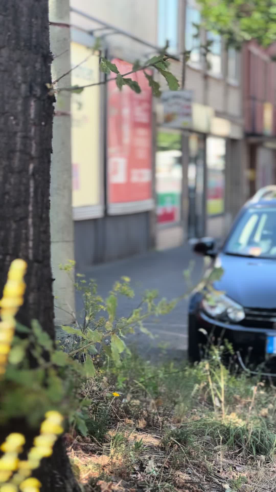 @Memo_02🦅