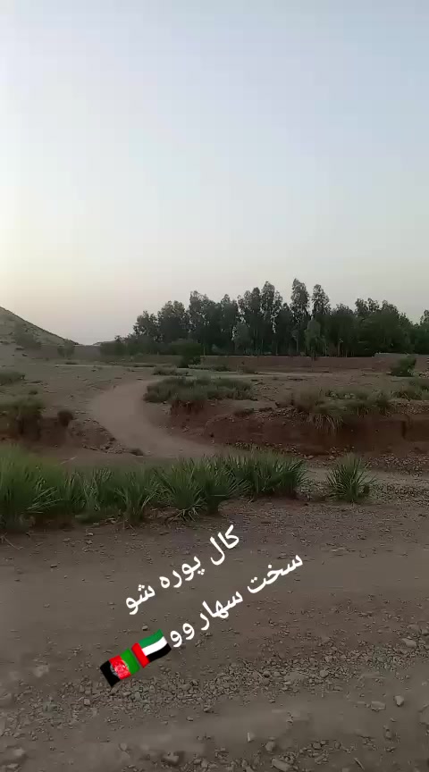 @Zienatullah ZaheeR