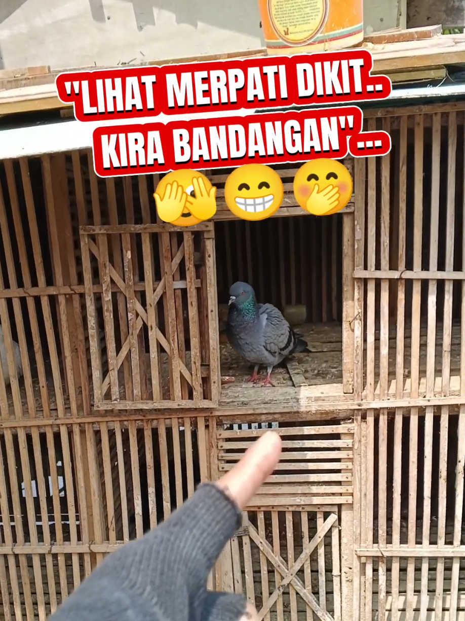 @BANG LEYON