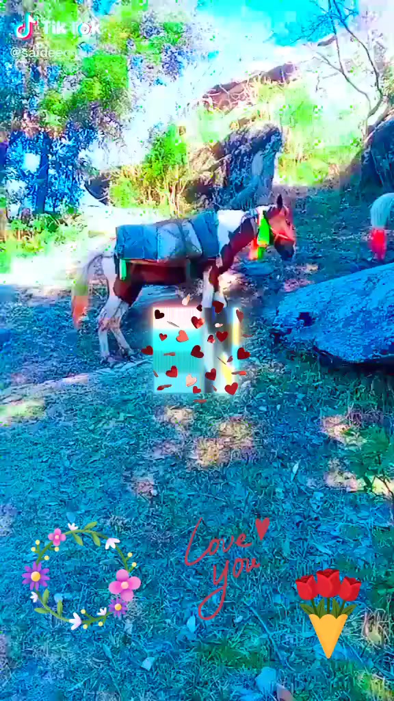 @hshdhe