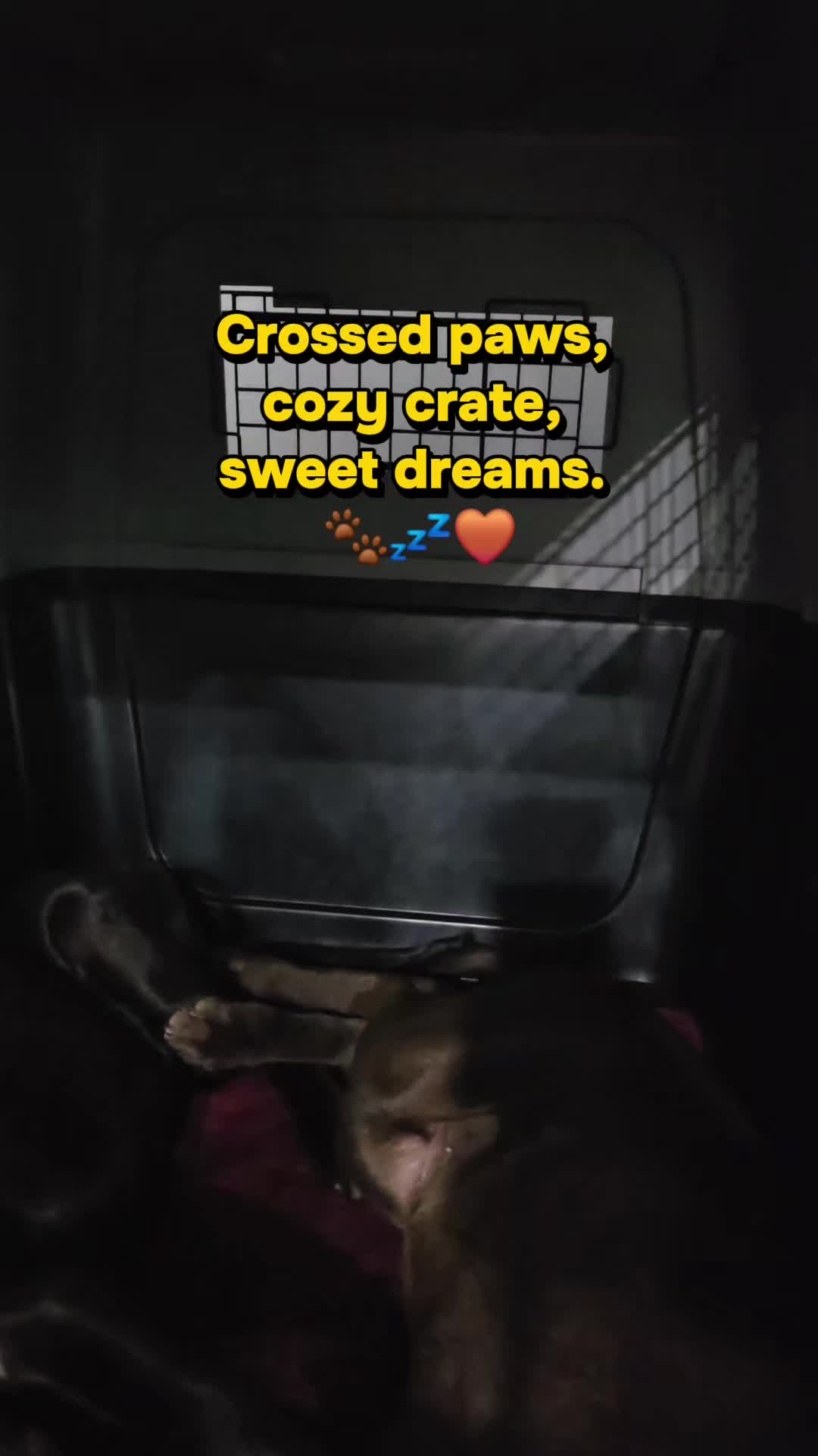 @Lukas&Bella