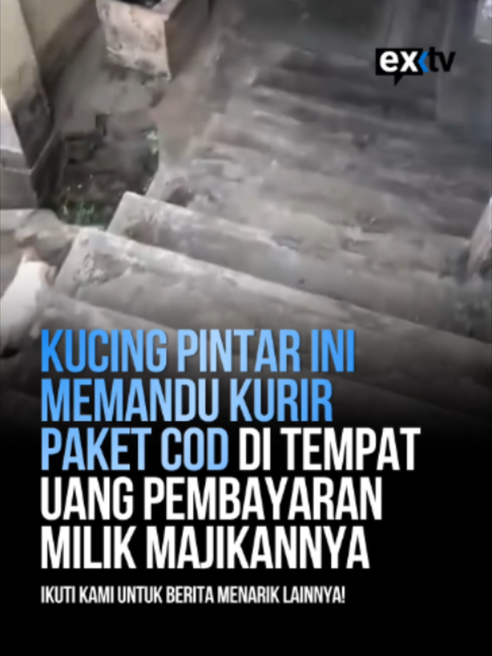 @Expressi Media