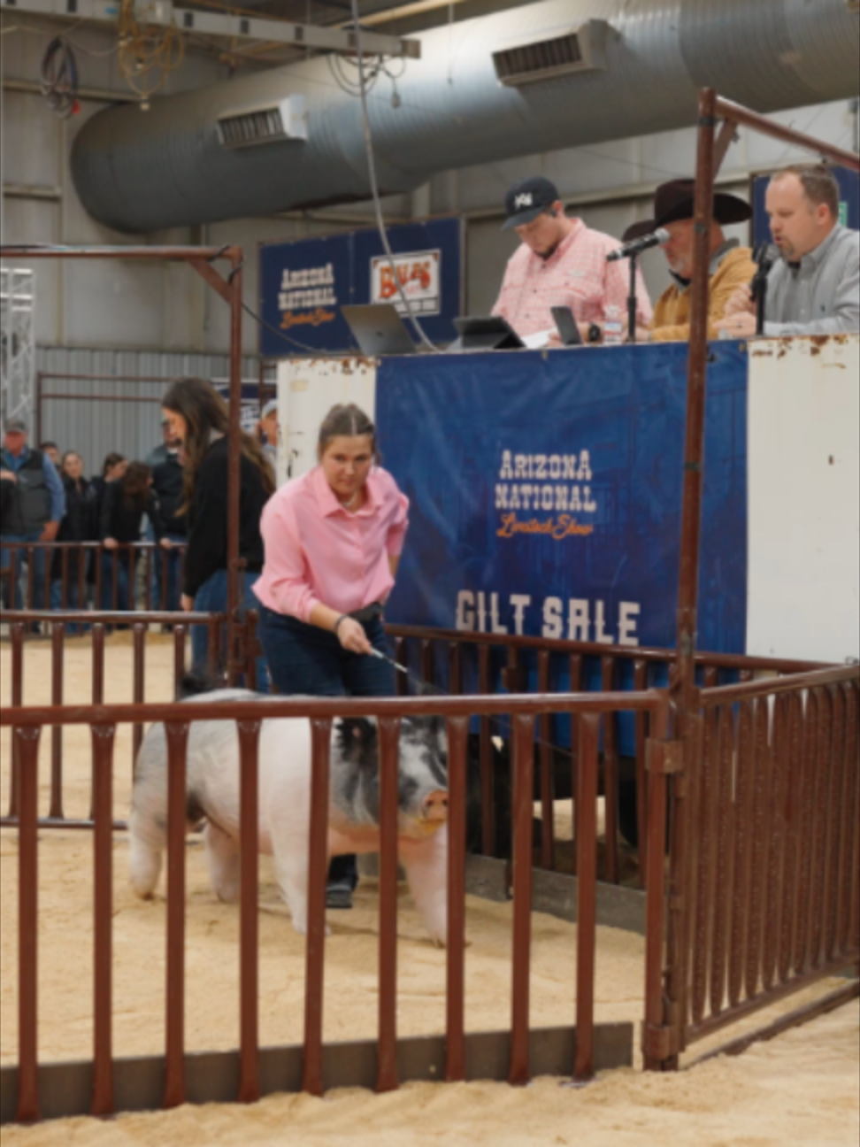 @AZ National Livestock Show