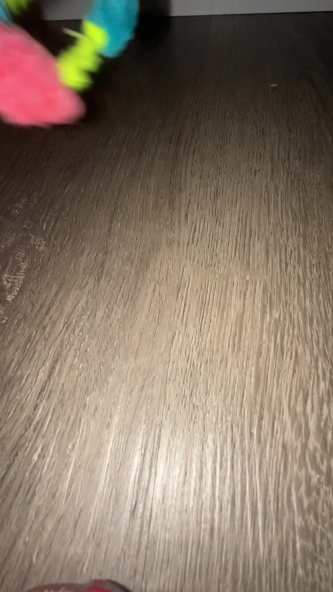 @pompompounder