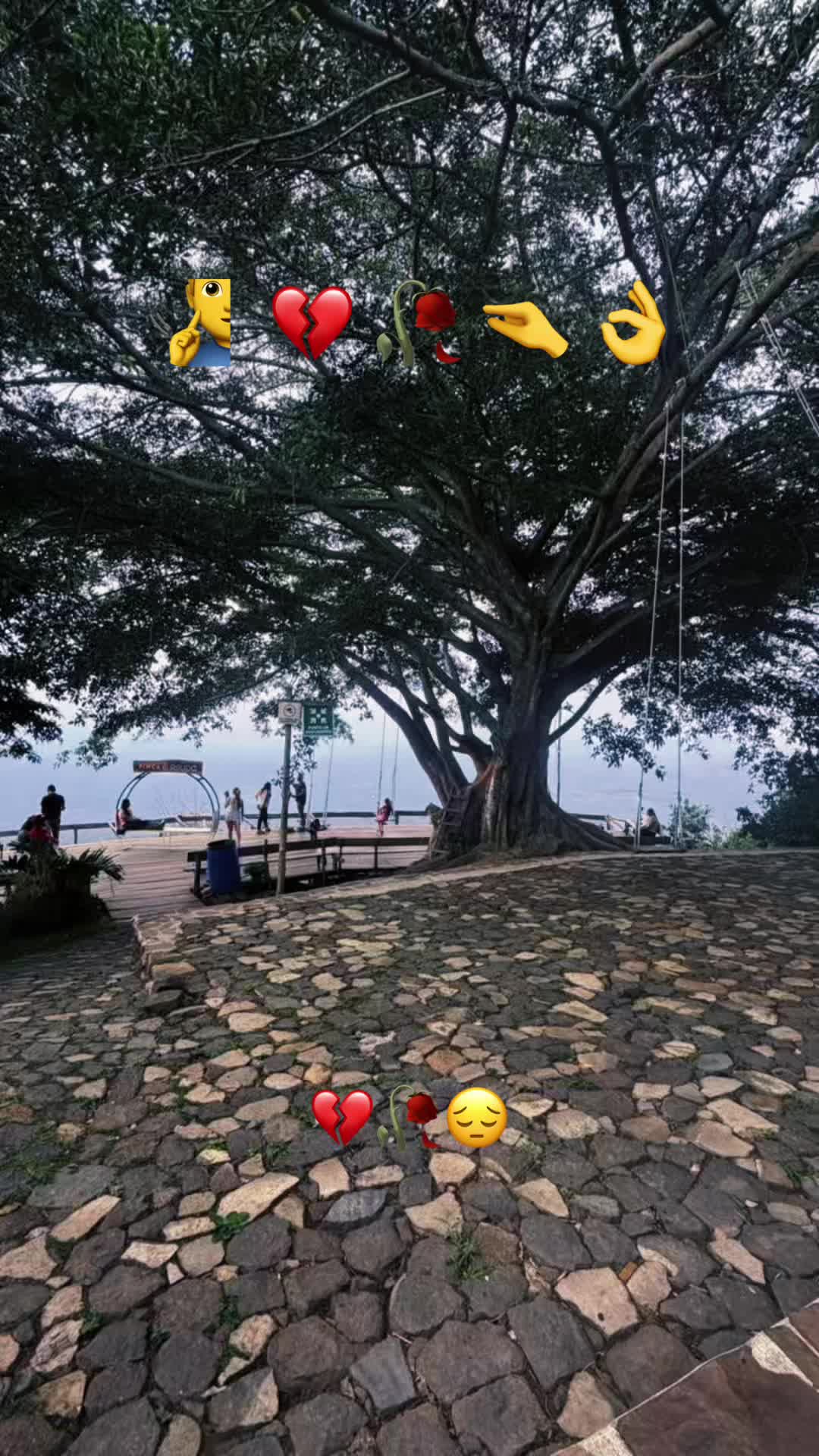 @guadalupetursios8