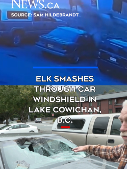 @CTV News Vancouver Island