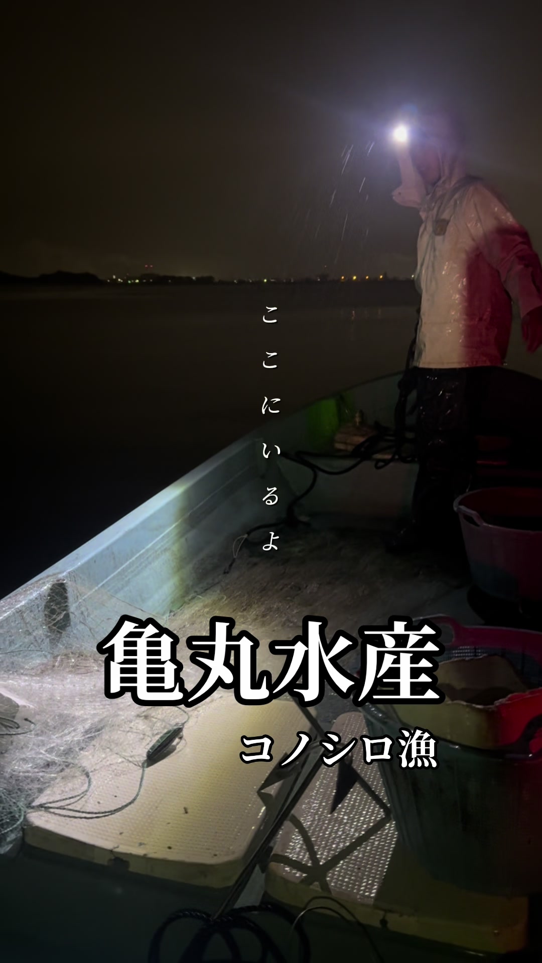 @亀丸水産社長🐢
