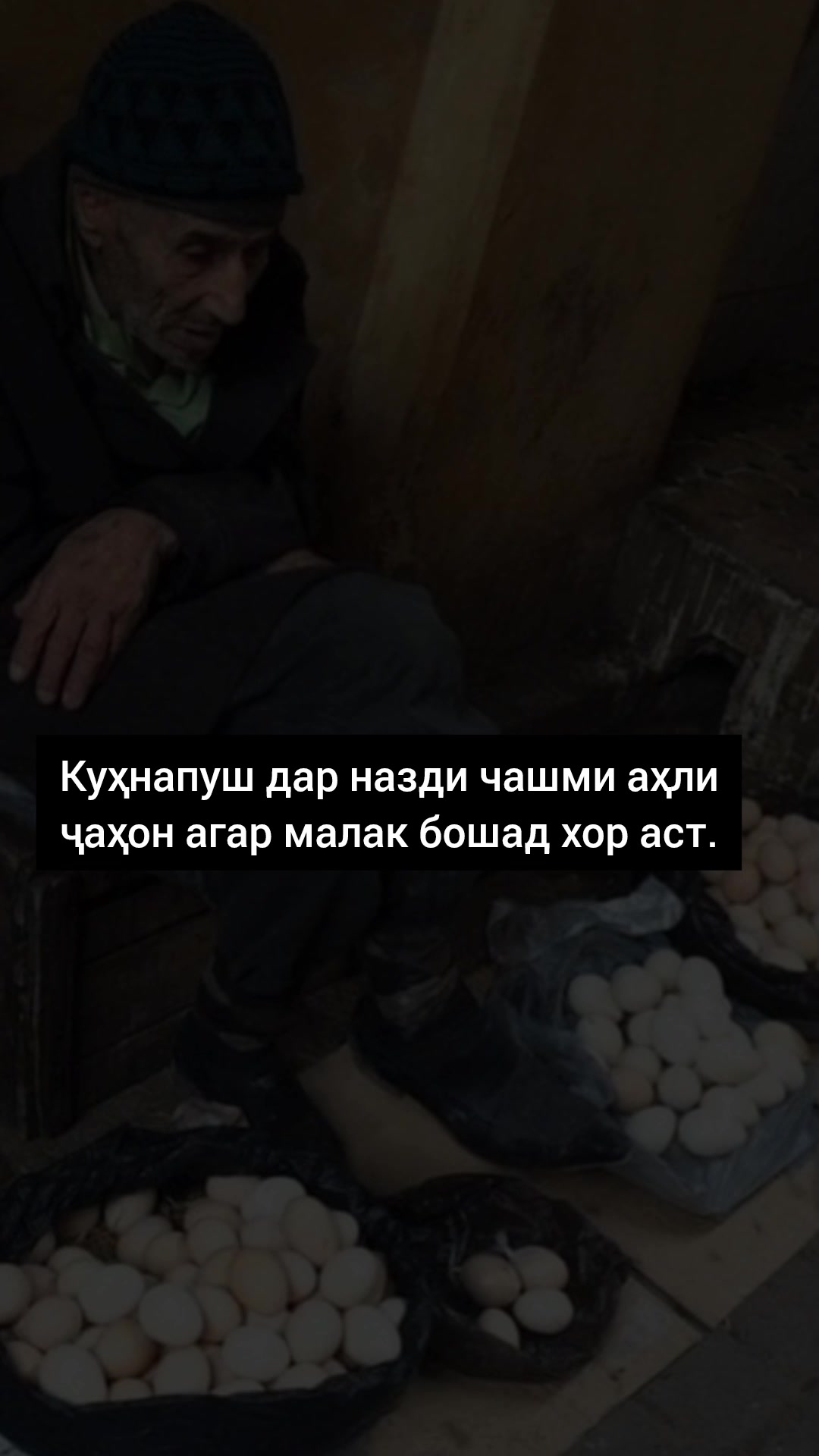 @Солеҳа❤️🩹