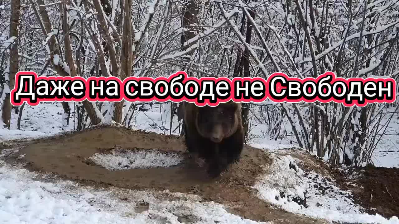 @BomBaLeila88888