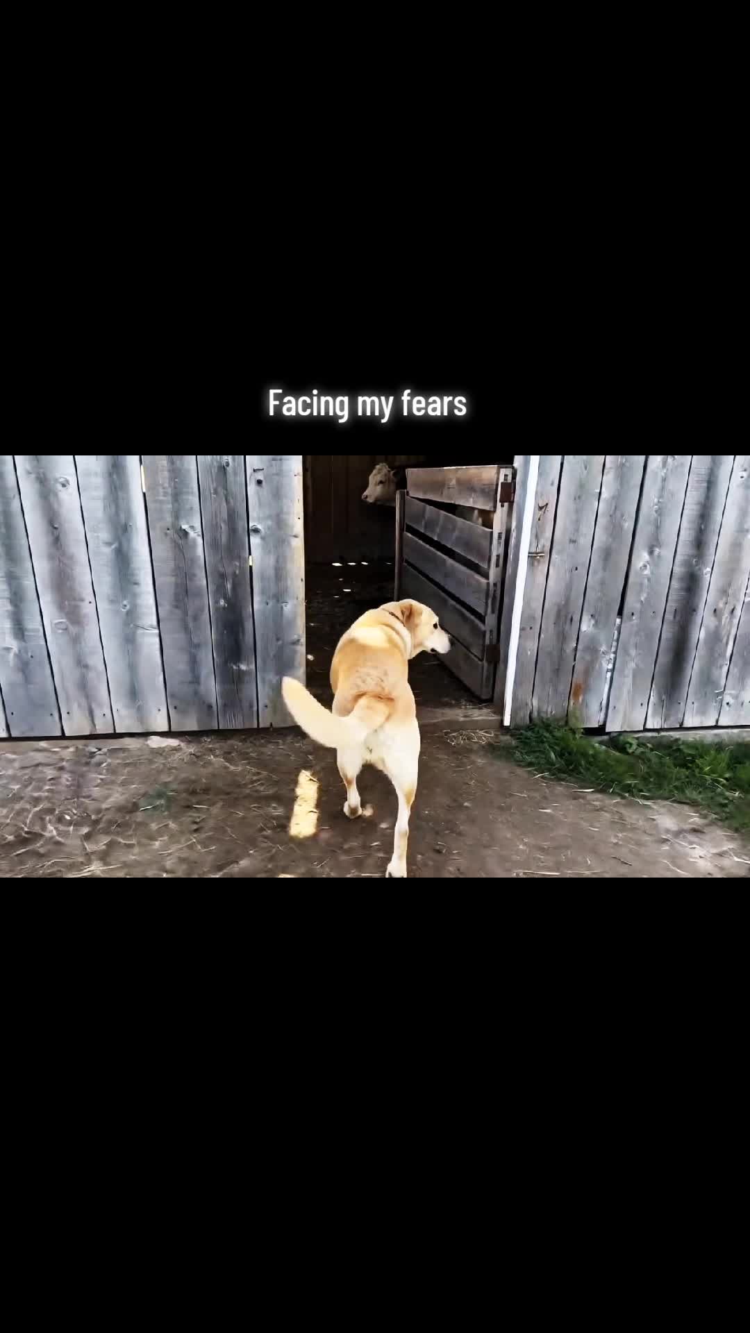 @ℂ𝕒𝕥𝕔𝕙𝕪ℂ𝕝𝕚𝕡𝕤ℍℚ