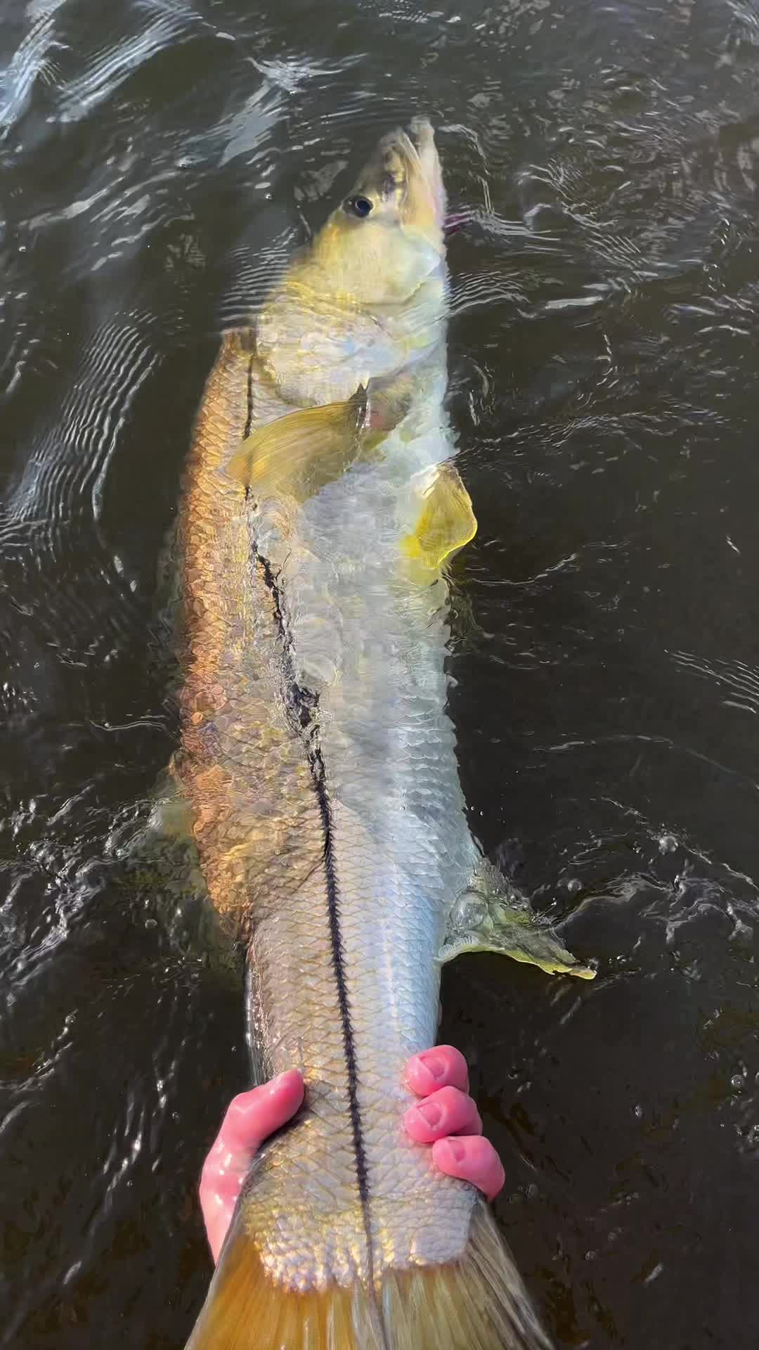 @The Fish Slayer