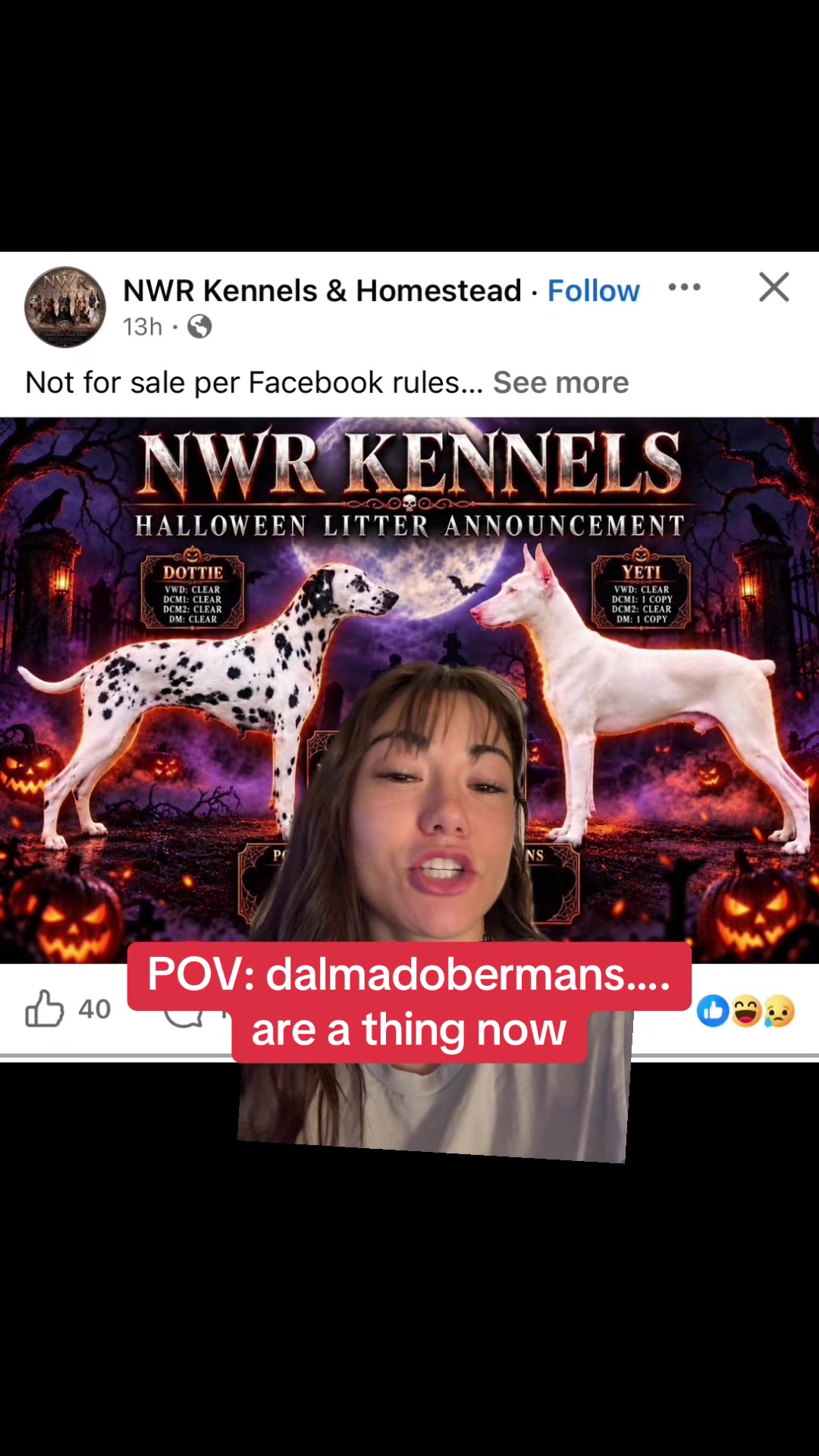 @Kate’s Pack