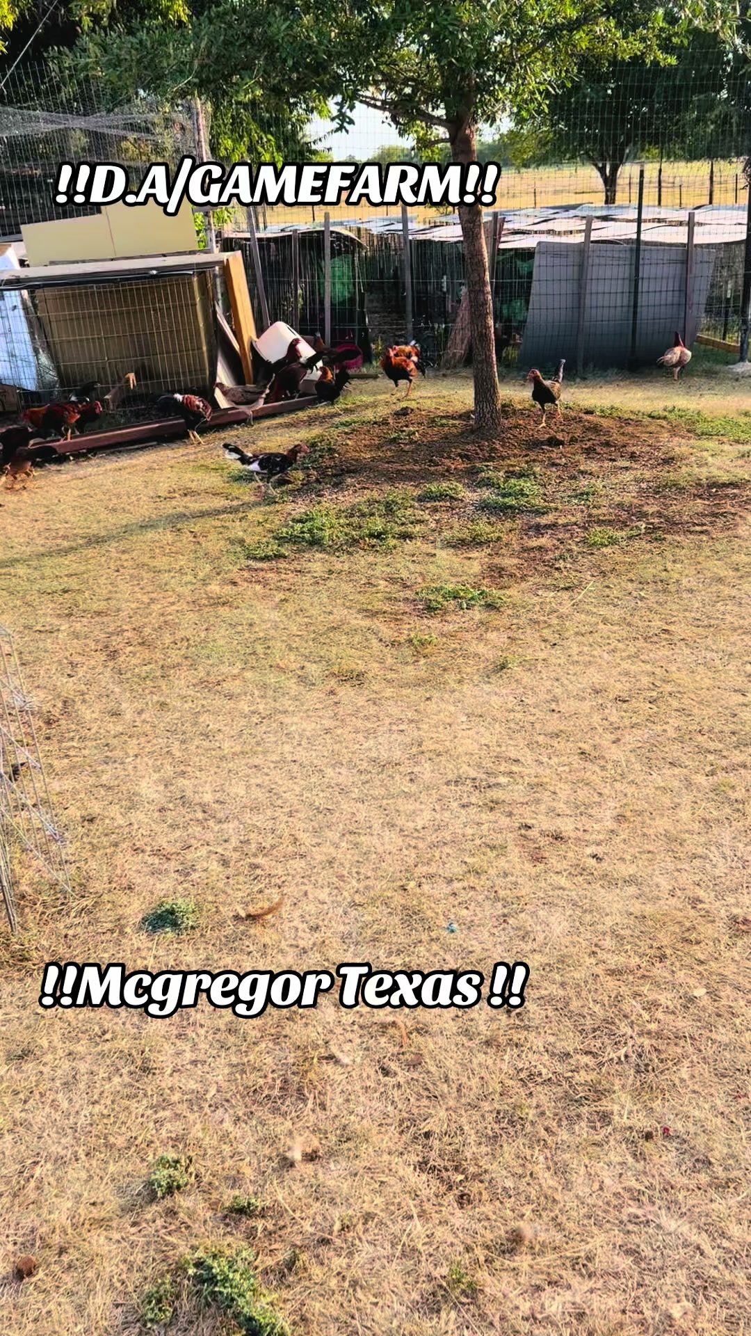 @DAgamefarm