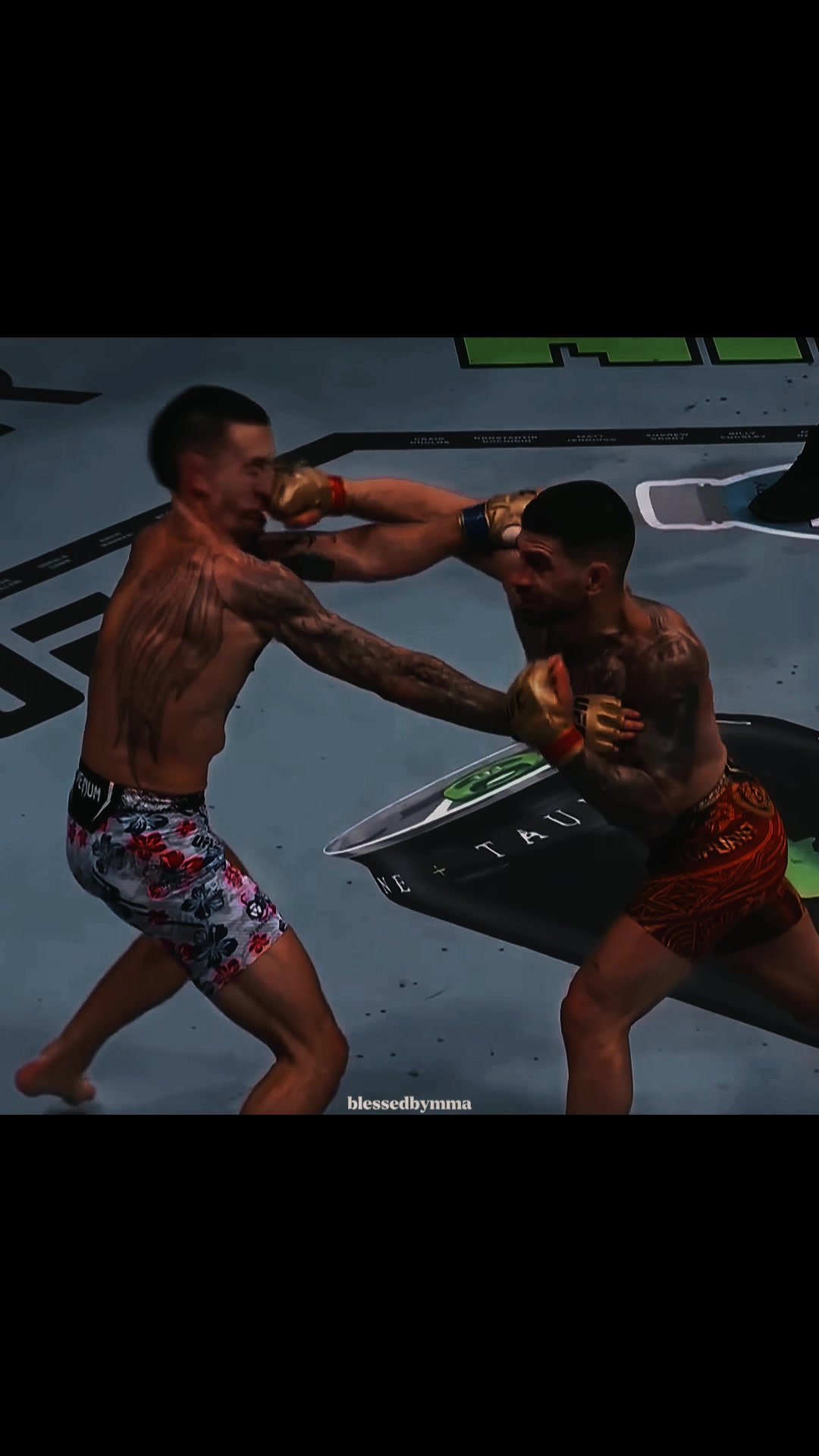 @blessedbymma