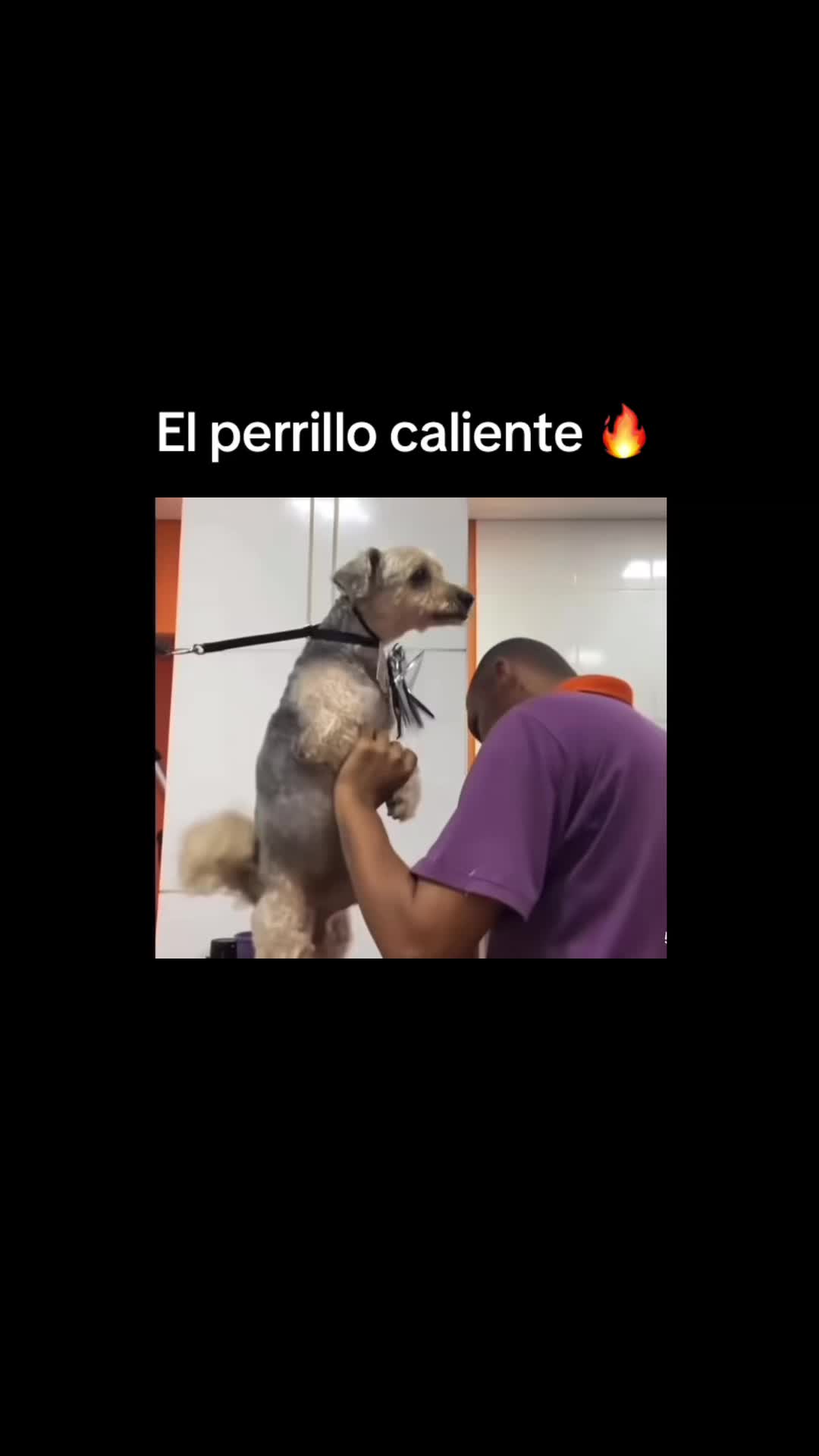 @Carlos el del A/C