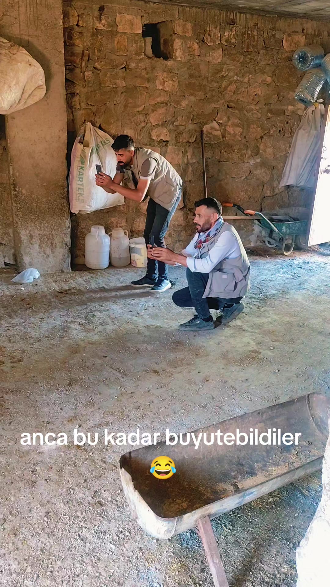 @Mehmet Şah Keleşoglu