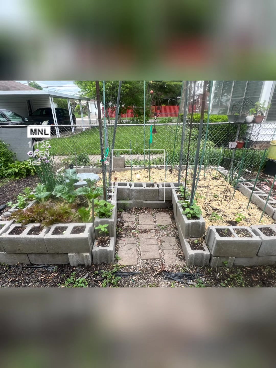 @DirtyGloveGardening👨🏾&zwj;🌾