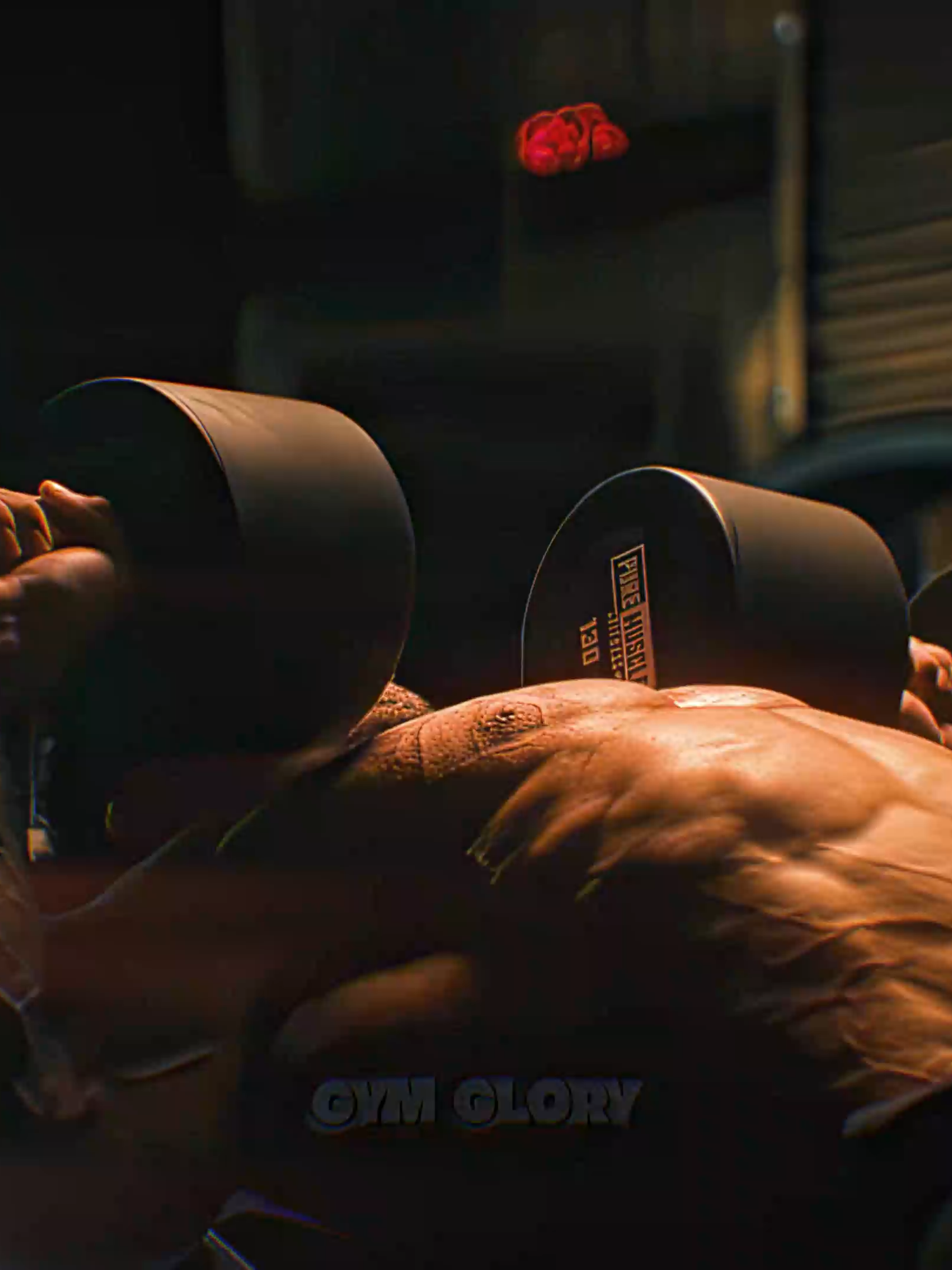 @gym.glory