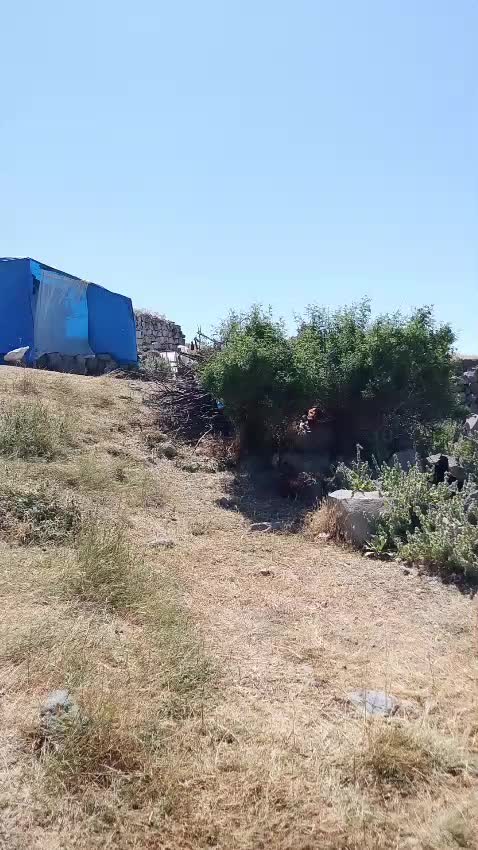@Fadik Ferdi Yarar