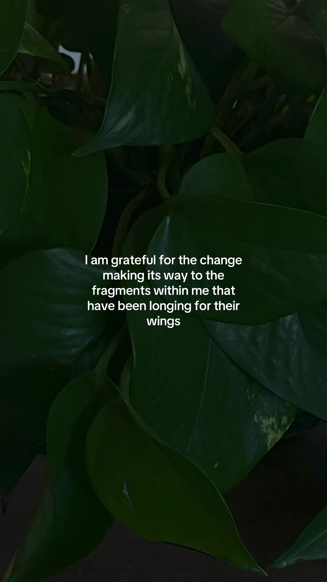 @Jully_writes