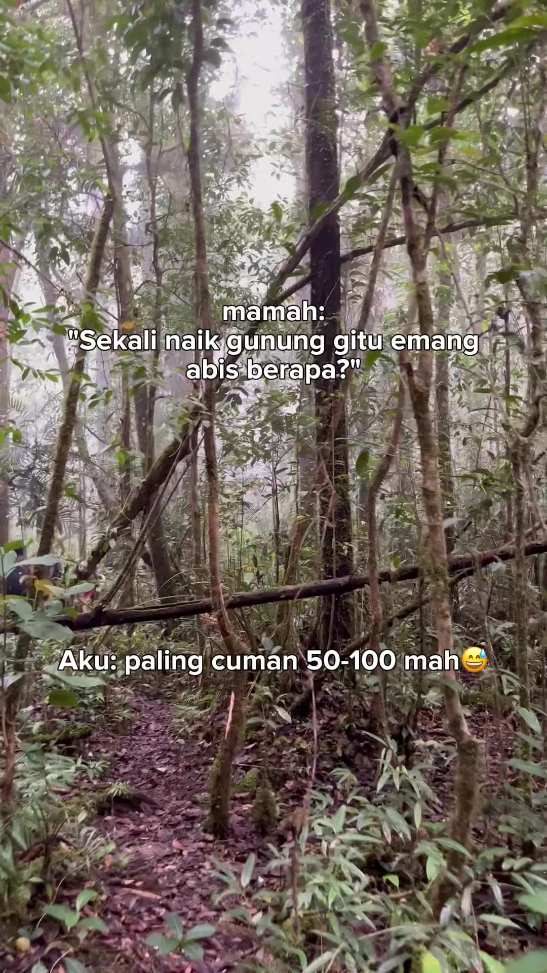 @wak