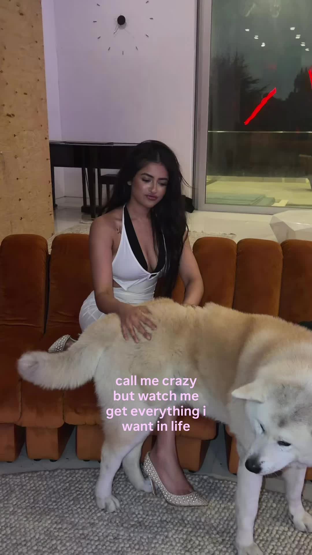 @sejalpuri