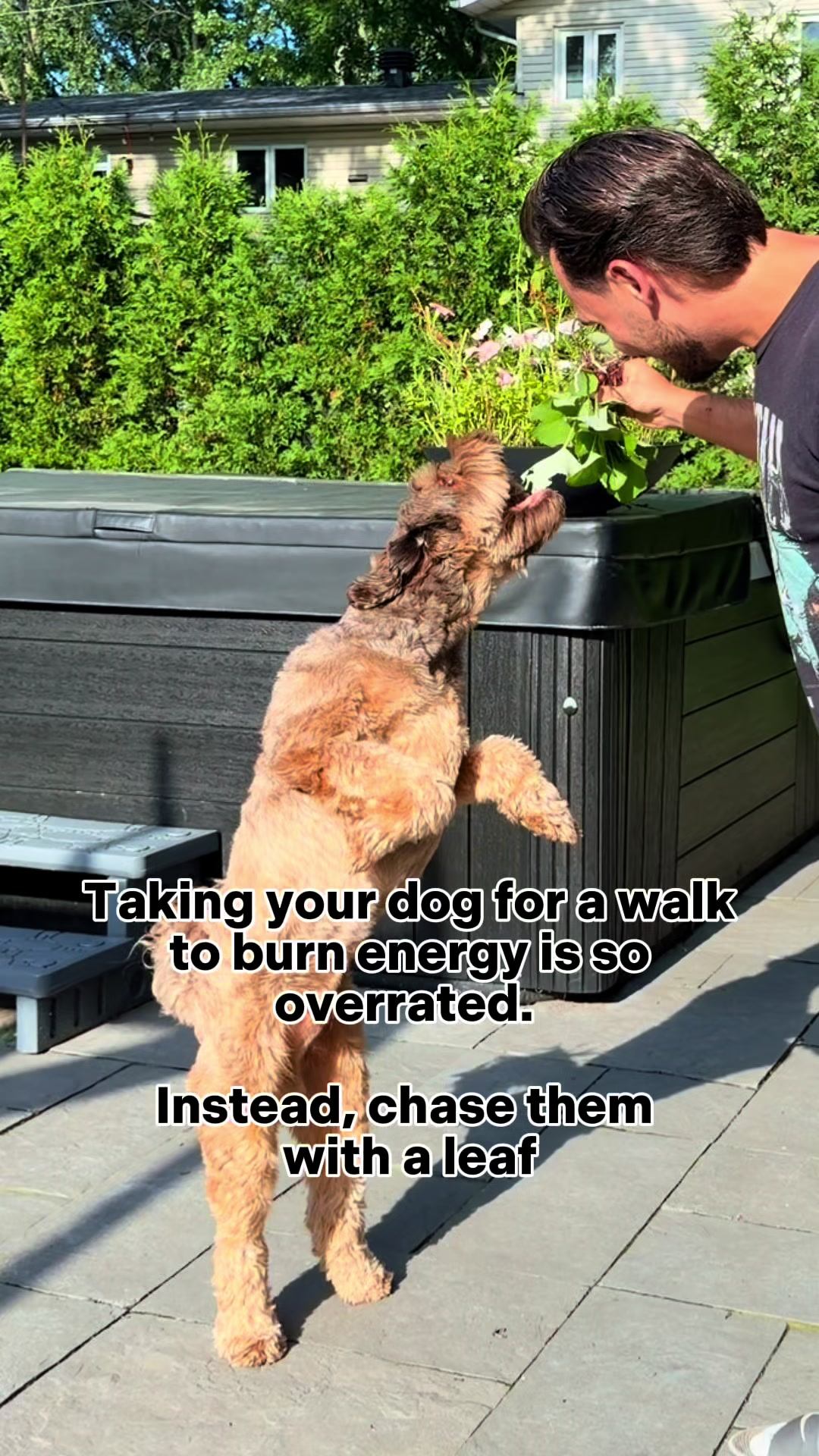 @Dogs Made Simple